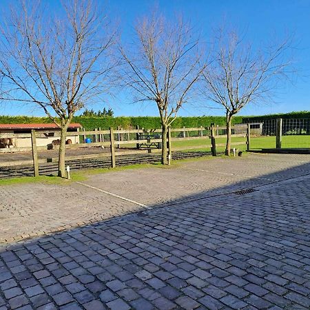 B&B 'T Hannonshof Nieuwpoort Luaran gambar