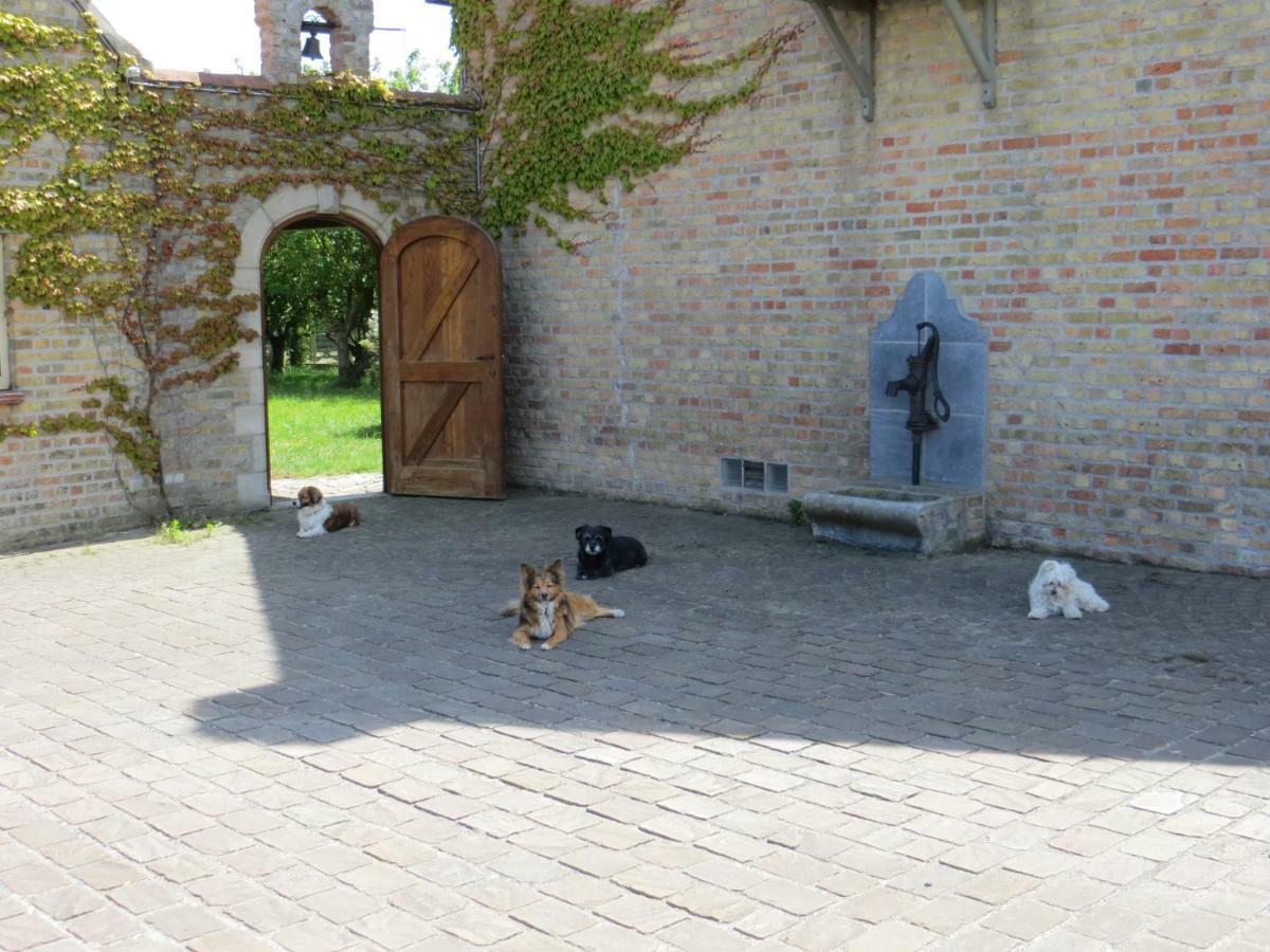 B&B 'T Hannonshof Nieuwpoort Luaran gambar